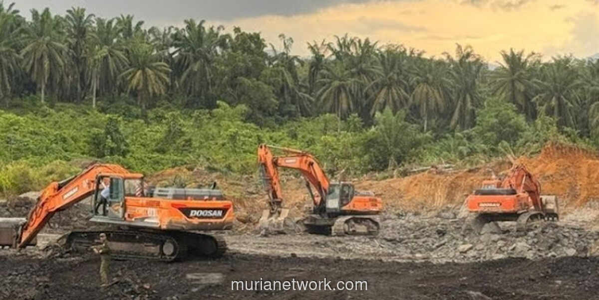 Izin Dicabut, Konsesi Berganti: Hutan Tetap Jadi Korban
