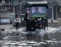BMKG Peringatkan Gelombang Rob Akan Landa Pesisir Indonesia Awal 2026