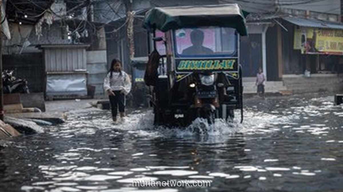 BMKG Peringatkan Gelombang Rob Akan Landa Pesisir Indonesia Awal 2026