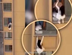 Pelakor Bergelantungan di Lantai 10, Kabur dari Istri yang Pulang Mendadak