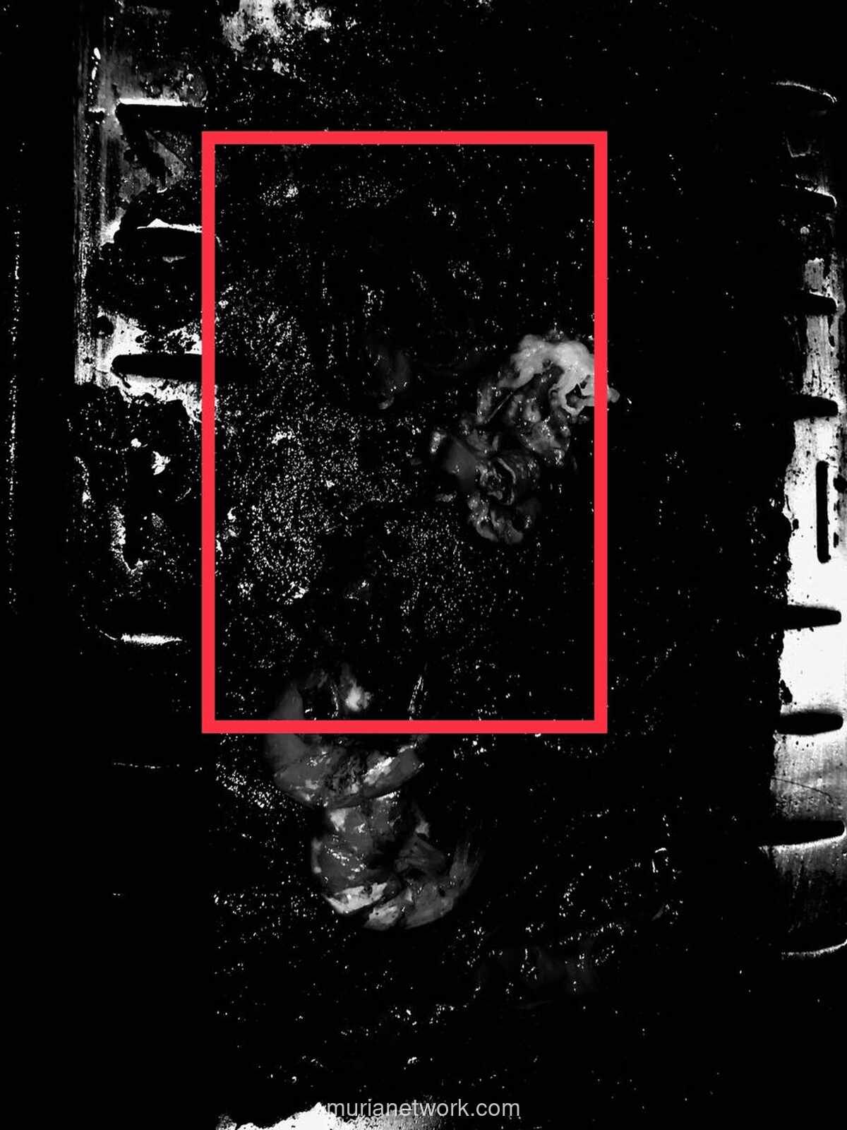 Retorika Boleh, Tapi Jangan Runtuhkan Fondasi Bangsa