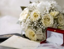 Kasus WO Ayu Puspita: Penipuan, 200 Korban, dan Desakan Ganti Rugi