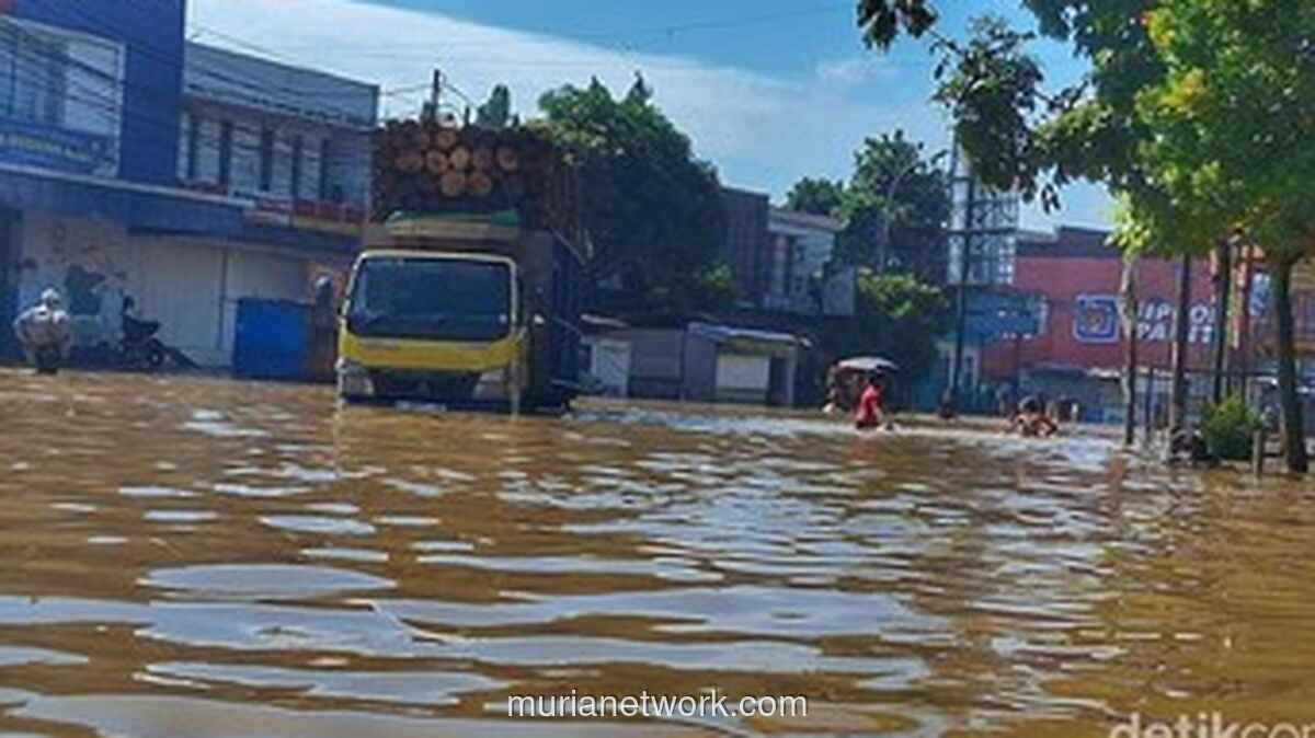 Citarum Meluap, Tiga Kecamatan di Bandung Berubah Jadi Danau Dadakan