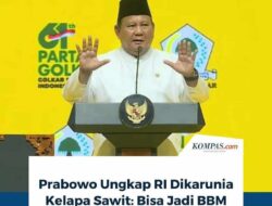 Mimpi Sawit untuk Rakyat Tersandera Oligarki