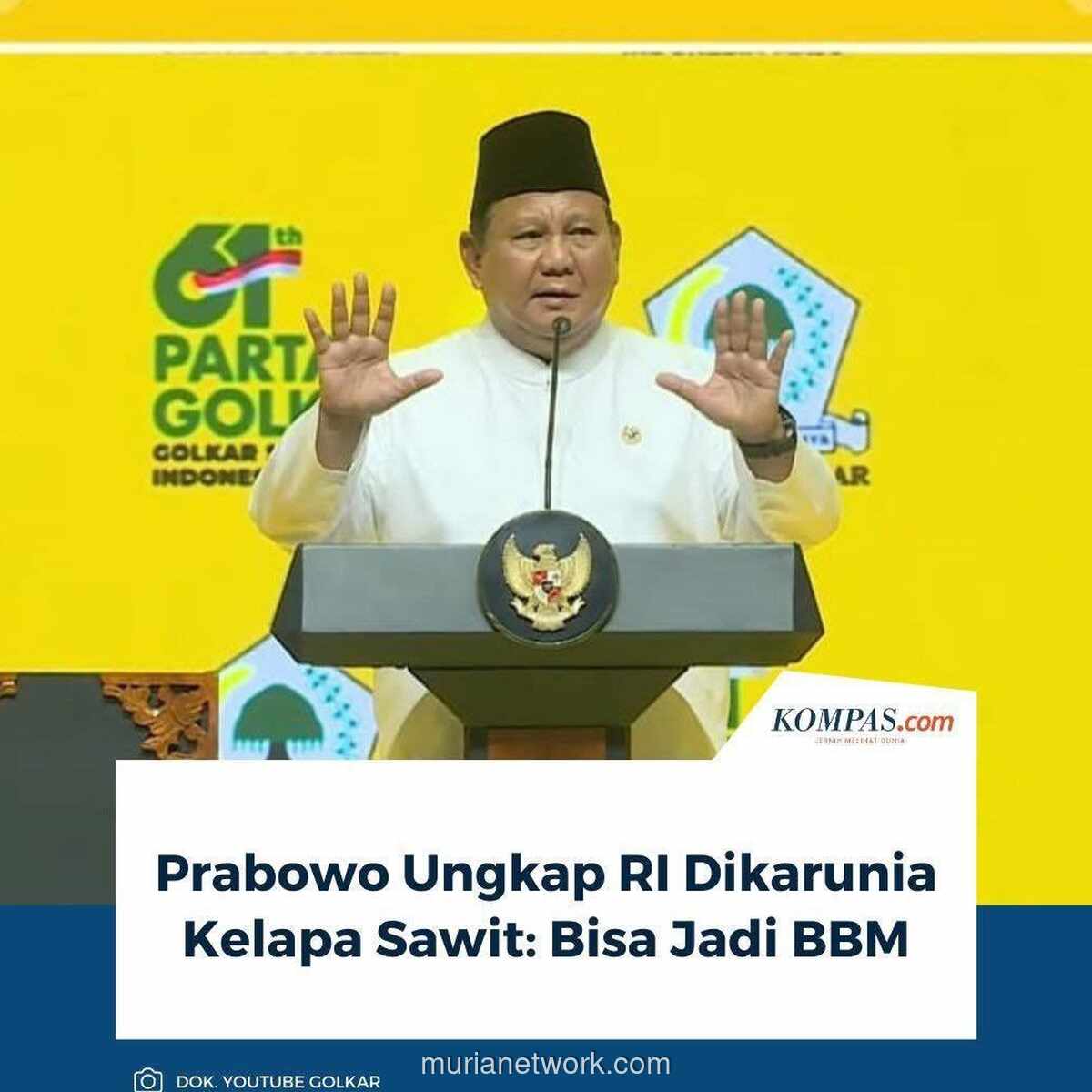 Mimpi Sawit untuk Rakyat Tersandera Oligarki