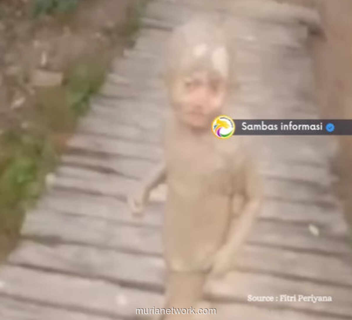 Bocah Sambas Pulang Bermain, Badan Penuh Lumpur tapi Senyum Tak Pudar