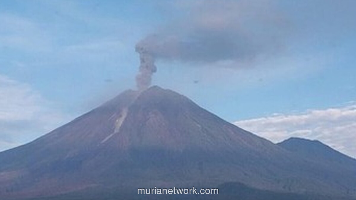 Semeru Muntahkan Abu 1,2 Kilometer, Status Siaga Diperpanjang