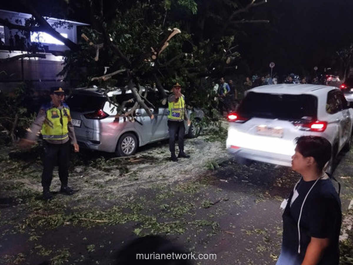 Pohon Tumbang Terguling, Dua Mobil Hancur di Depan Bandara Bali