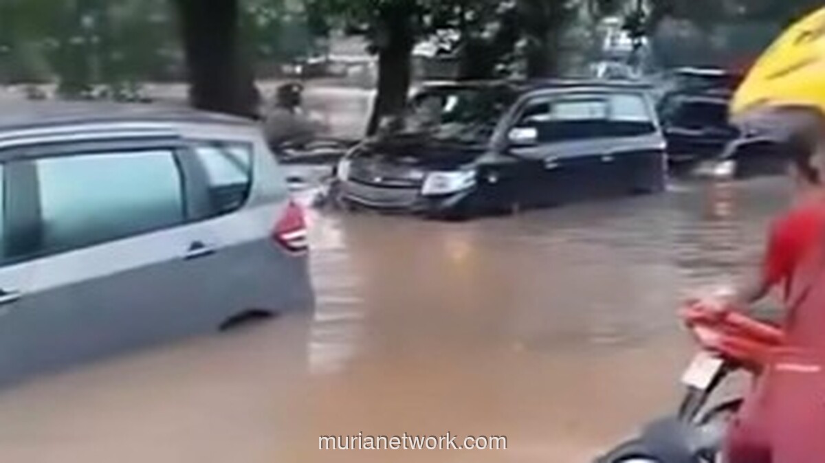 Banjir Satu Meter Rendam Puluhan Rumah di Griya Cikeas