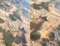 Video Udara Kalsel Bikin Merinding: Hutan Gundul, Bekas Tambang Menganga