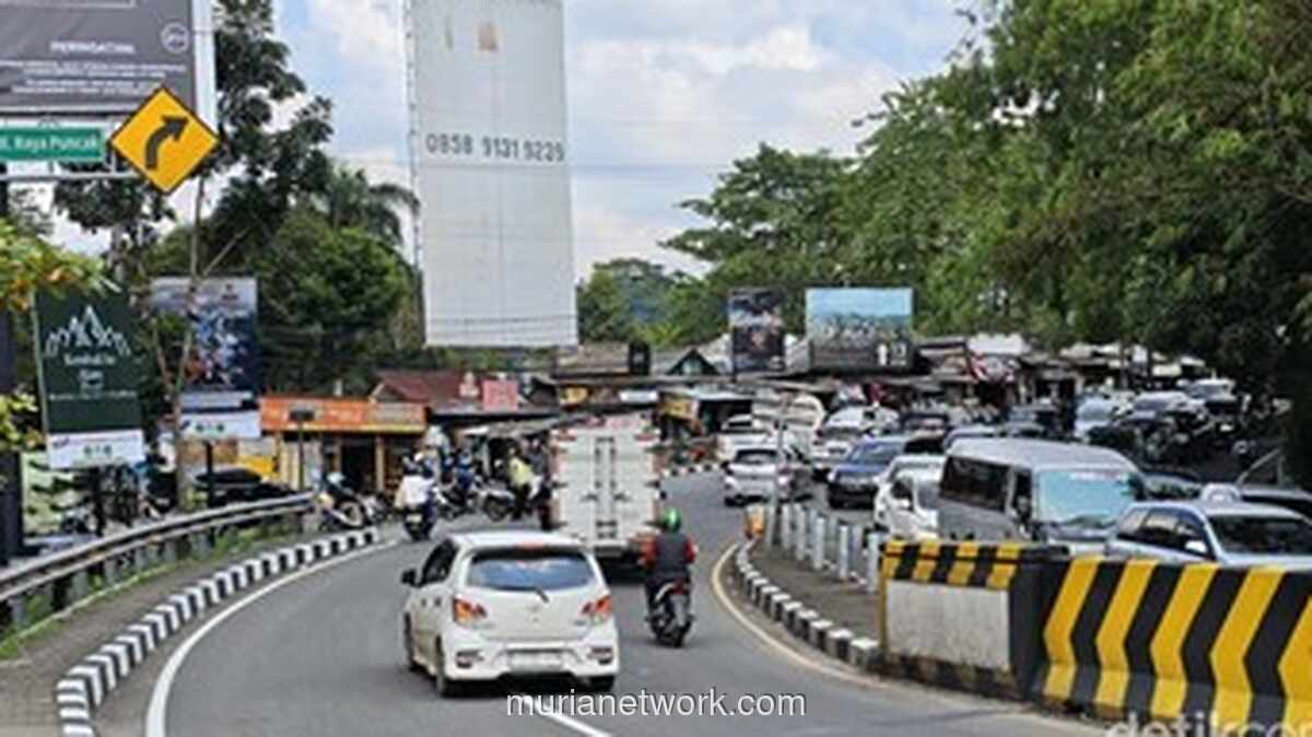Lalu Lintas Puncak Melonjak 20 Persen, Sistem One Way Diberlakukan