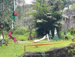 Gorila Ragunan Rayakan Natal dengan Sajian Spesial