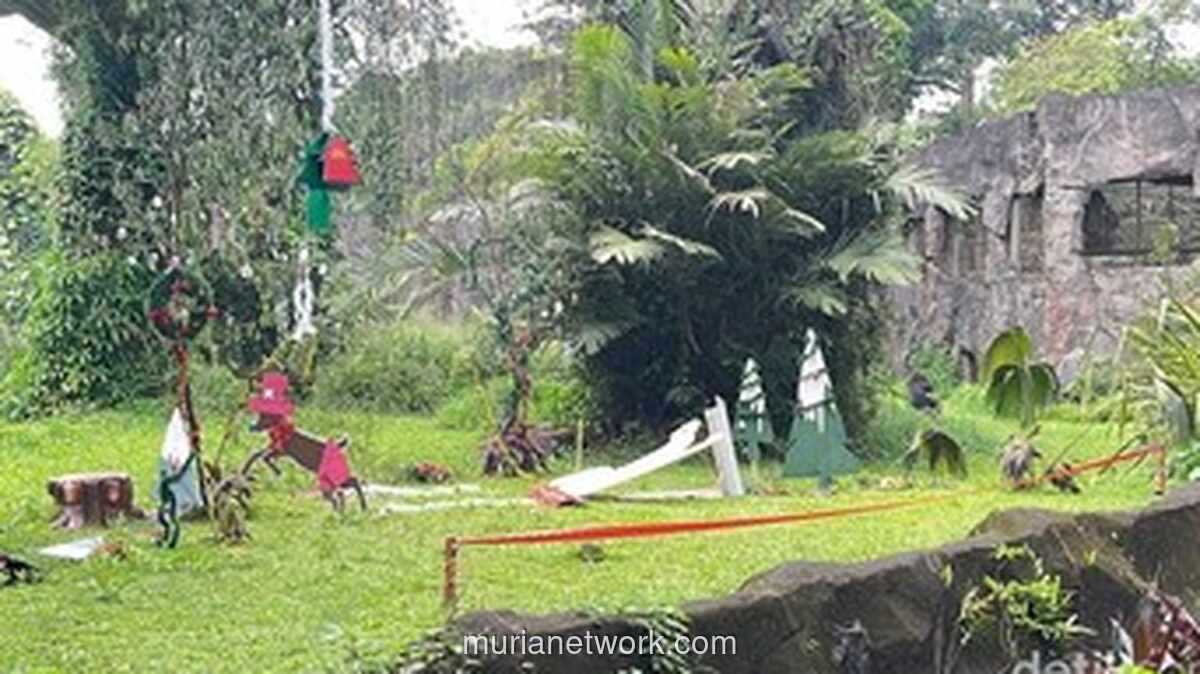 Gorila Ragunan Rayakan Natal dengan Sajian Spesial