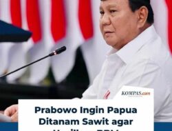 Deretan Monster Besi di Papua: Proyek Raksasa Haji Isam yang Bikin Gundah