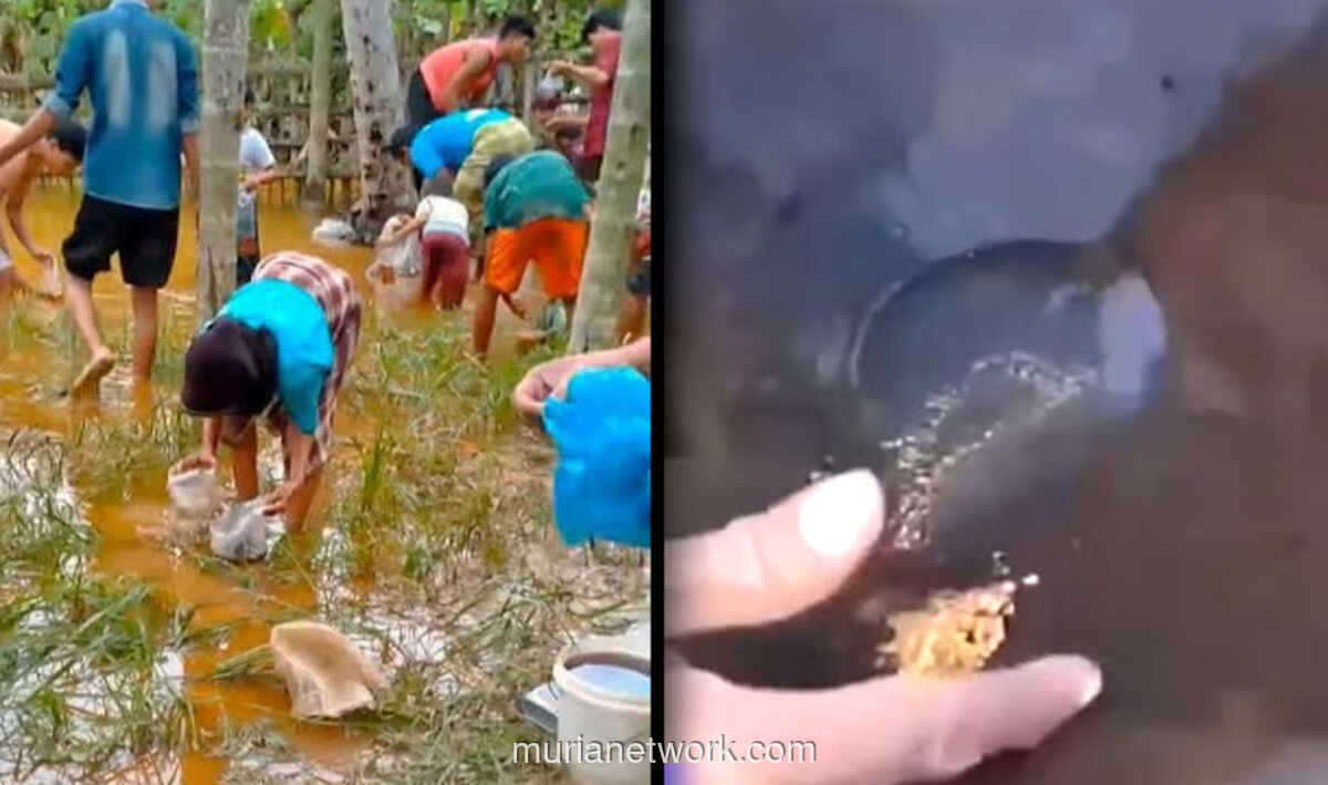 Banjir Aceh Berkah Tak Terduga: Emas dan Solar Muncul Usai Air Surut