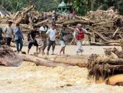 Air Surut, Duka Menggenang: Akses Bantuan dan Kayu Gelondongan Jadi Tantangan Pasca-Banjir Sumatera