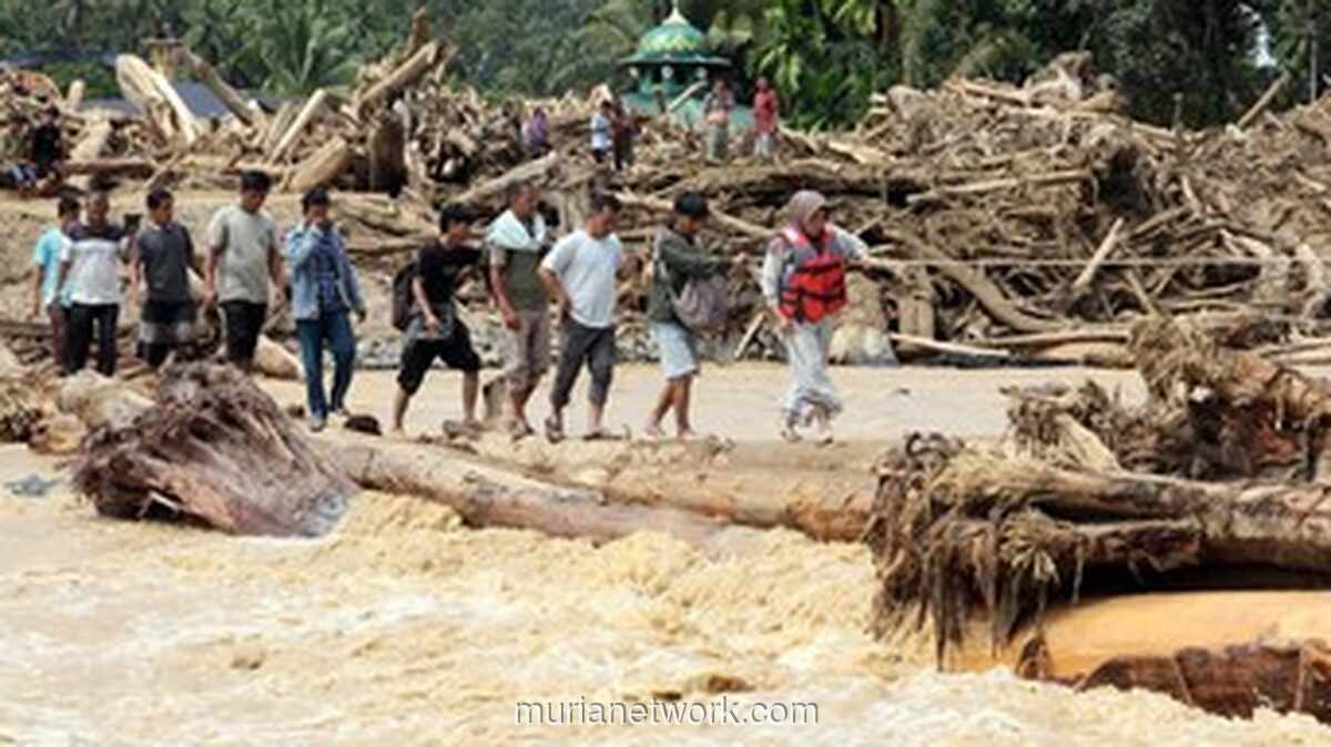 Air Surut, Duka Menggenang: Akses Bantuan dan Kayu Gelondongan Jadi Tantangan Pasca-Banjir Sumatera