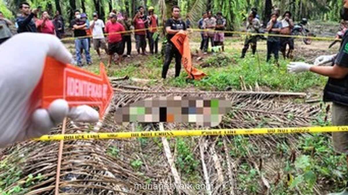 Tragis, Siswa SMK di Tulang Bawang Ditemukan Tewas Tertutup Pelepah Sawit