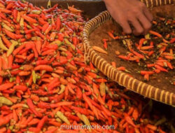 Harga Cabai dan Tomat Jatuh, Sulut Alami Deflasi di Akhir 2025