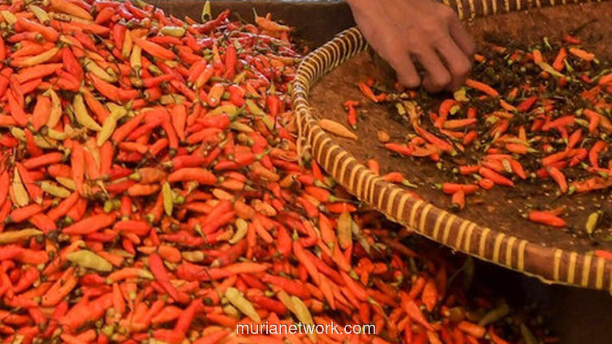 Harga Cabai dan Tomat Jatuh, Sulut Alami Deflasi di Akhir 2025