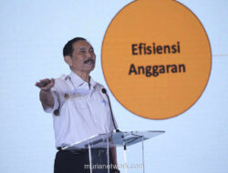 Laba Garuda Anjlok, Luhut Jelaskan Izin Bandara Morowali