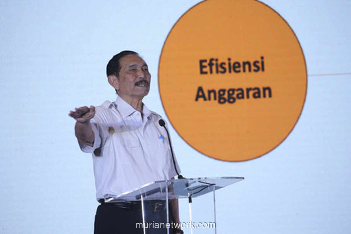 Laba Garuda Anjlok, Luhut Jelaskan Izin Bandara Morowali