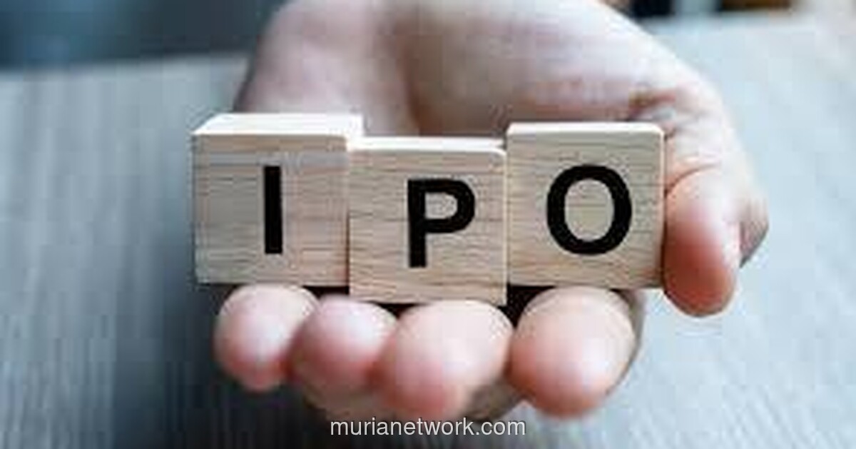 Sembilan Perusahaan Masih Antre IPO, BEI dan OJK Ungkap Alasan di Balik Target yang Tak Tercapai