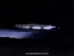 Video Buaya di Pantai Watu Leter Bikin Heboh, Ternyata Hoaks