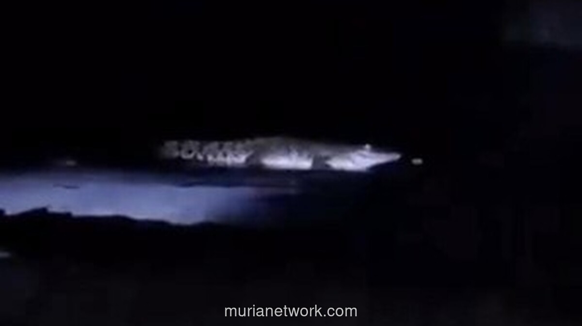 Video Buaya di Pantai Watu Leter Bikin Heboh, Ternyata Hoaks