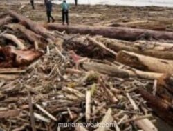 APIB Soroti Akses Tembus Isolasi dan Tuntut Pertanggungjawaban atas Banjir Bandang Terparah