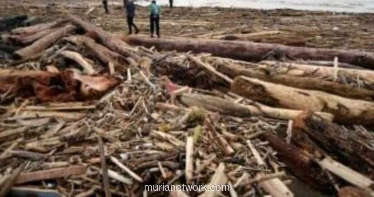 APIB Soroti Akses Tembus Isolasi dan Tuntut Pertanggungjawaban atas Banjir Bandang Terparah