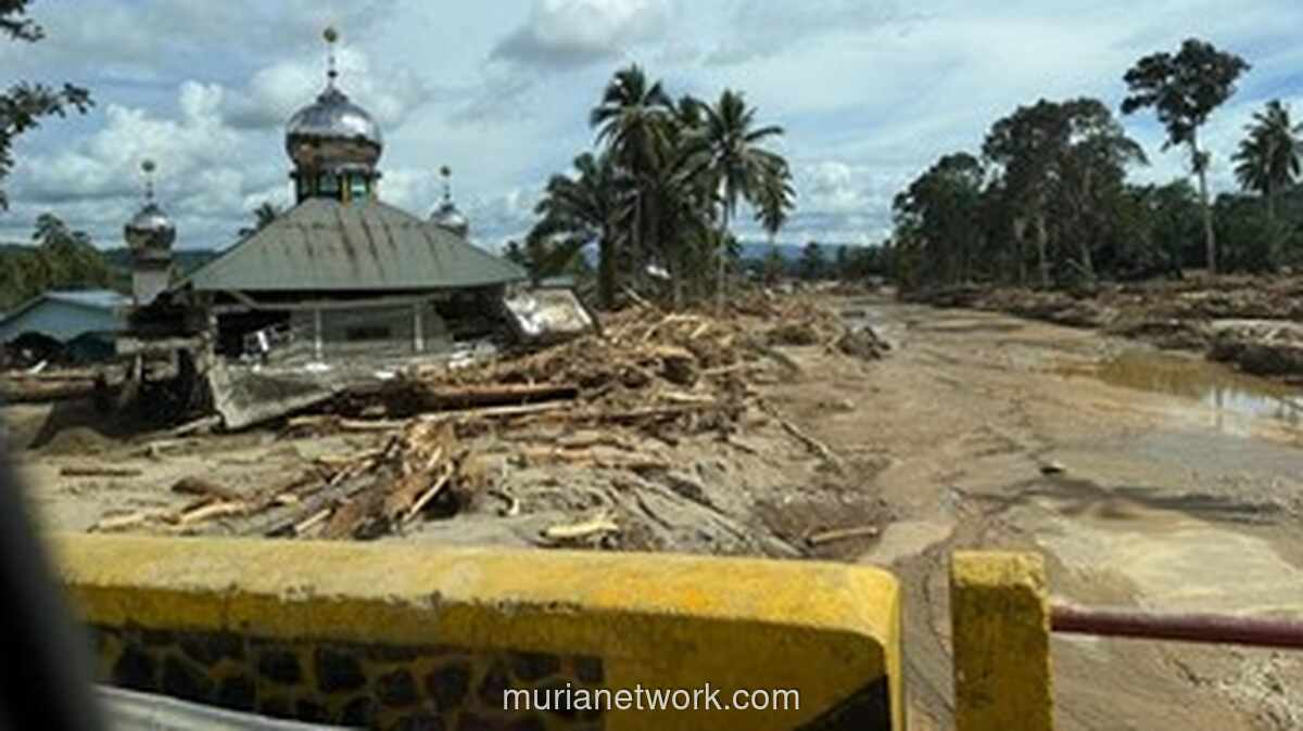 Menteri Lingkungan Hidup Ungkap Penyebab Banjir Sumatera: Hujan Ekstrem dan Lanskap yang Sakit