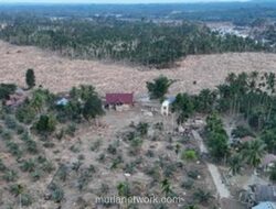 Hutan Sumatera Menghilang, Bencana Banjir Hanya Puncak Gunung Es
