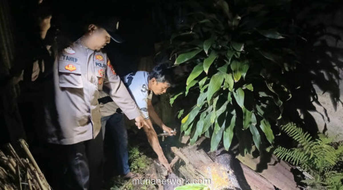 Tangisan dari Lubang Septic Tank Gegerkan Warga Tanggamus
