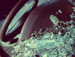 Truk Kontainer Terguling di Japek, Macet Mengular Hingga Cikarang