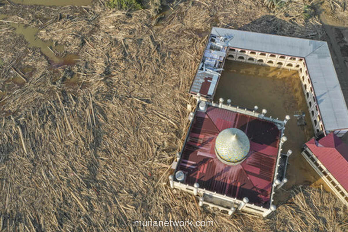 Lumpur dan Kayu Tumbang, Akses ke Desa Tanjung Karang Masih Terkubur