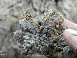 Kilau Tak Terduga di Balik Lumpur Banjir Aceh