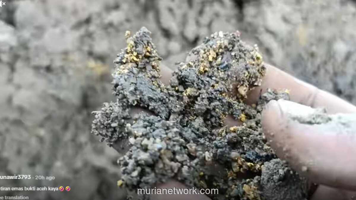 Kilau Tak Terduga di Balik Lumpur Banjir Aceh