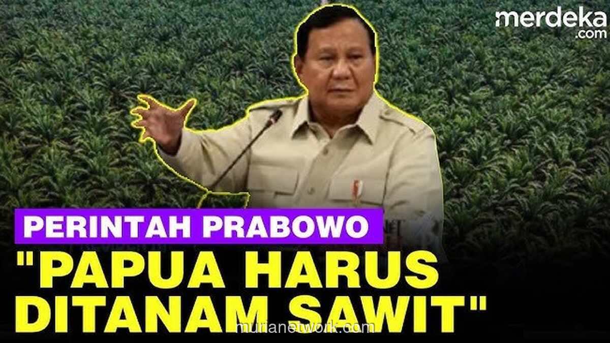 Mimpi Kemerdekaan Energi di Papua: Sawit dan Bayang-Bayang Tragedi Sumatra