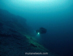 Kapal Riset OceanXplorer Berburu Harta Karun di Gunung Laut Misterius Sulawesi