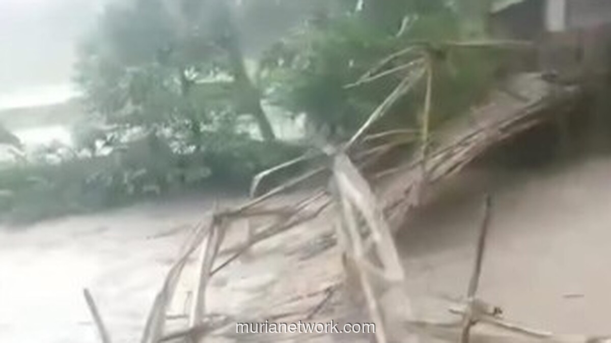 Jembatan Bambu Vital Putus, Roda Ekonomi Warga Cariu dan Karawang Terhenti
