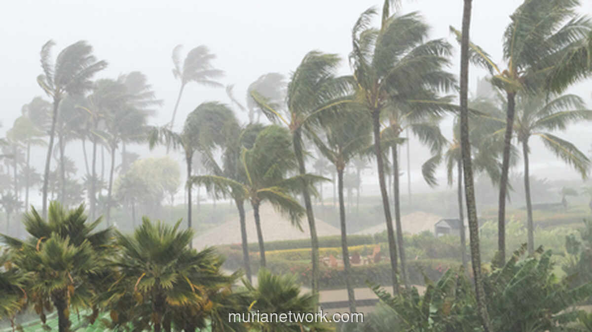 BMKG Ingatkan: Ancaman Siklon Tropis Masih Mengintai Meski Senyar dan Koto Reda