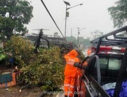 Angin Kencang Guyur Kemang, Pohon Tumbang dan Rumah Warga Rusak