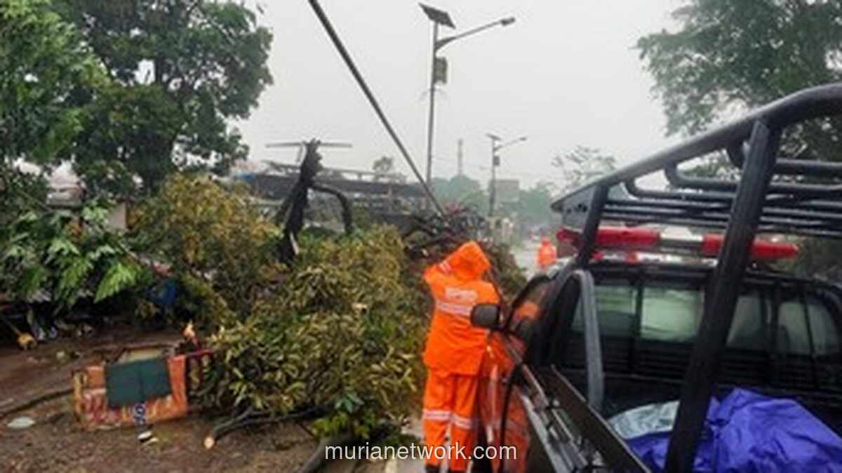 Angin Kencang Guyur Kemang, Pohon Tumbang dan Rumah Warga Rusak