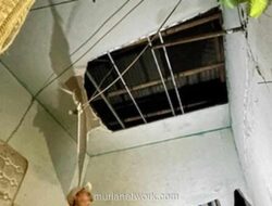 Hujan Deras di Bogor Robohkan Pagar Sekolah dan Tumbangkan Pohon