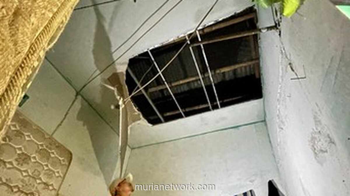 Hujan Deras di Bogor Robohkan Pagar Sekolah dan Tumbangkan Pohon