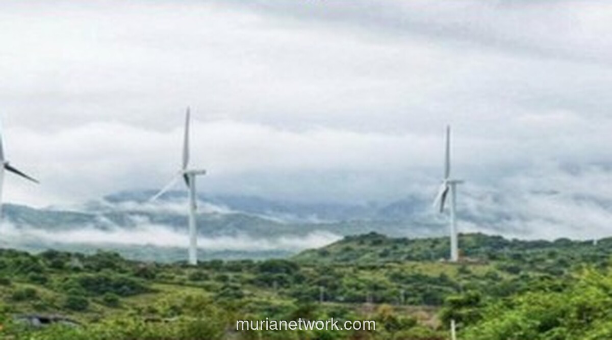 Investor Asing Siap Garap Ladang Angin dan Matahari Terbesar di Banten