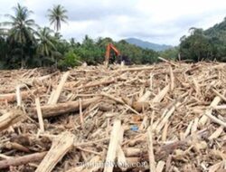 Banjir Gelondongan Kayu di Tapanuli: Bareskrim Tetapkan Satu Korporasi Tersangka