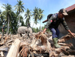 Tragedi Sumut: 355 Tewas dan Kerugian Rp 9,76 Triliun Akibat Banjir-Longsor