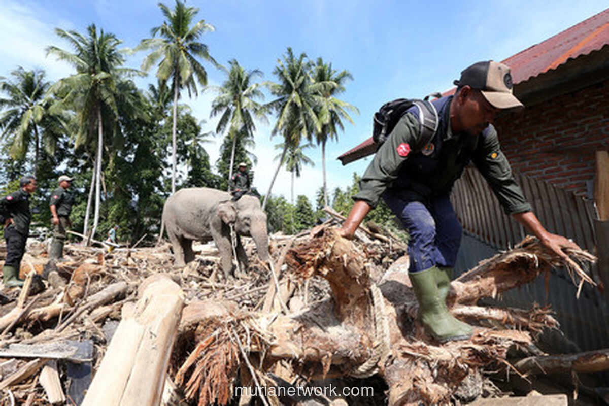 Tragedi Sumut: 355 Tewas dan Kerugian Rp 9,76 Triliun Akibat Banjir-Longsor